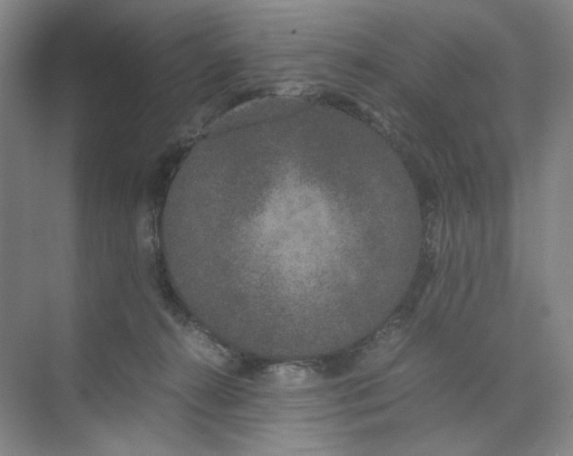 X0000074330272200609230100