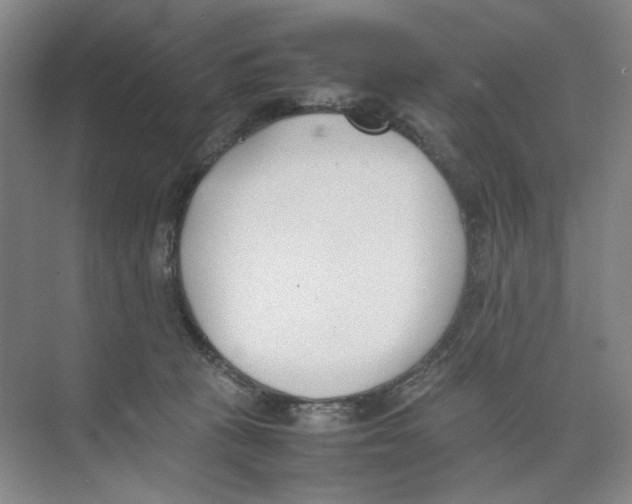 X0000074330273200609230100