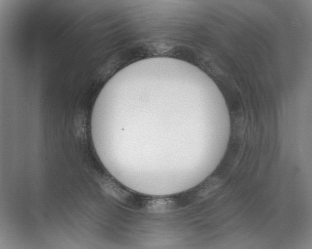 X0000074330274200609230100