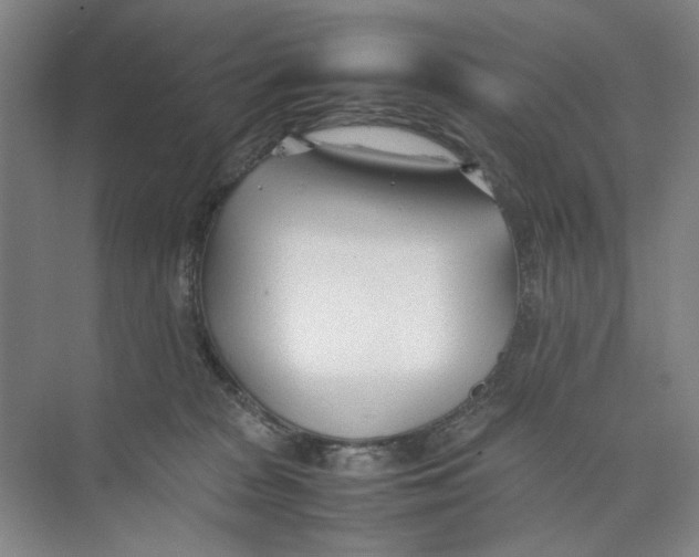 X0000074330277200609230100