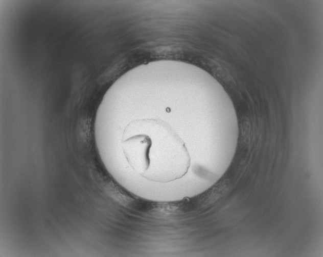 X0000074330278200609230100