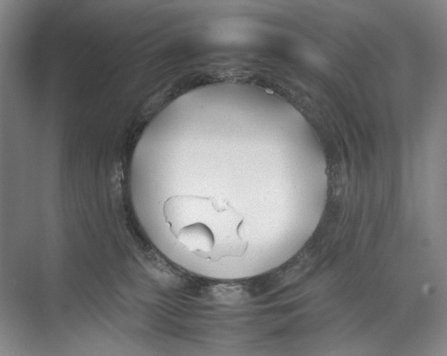 X0000074330279200609230100