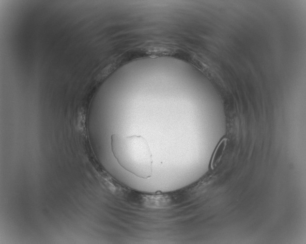 X0000074330281200609230100