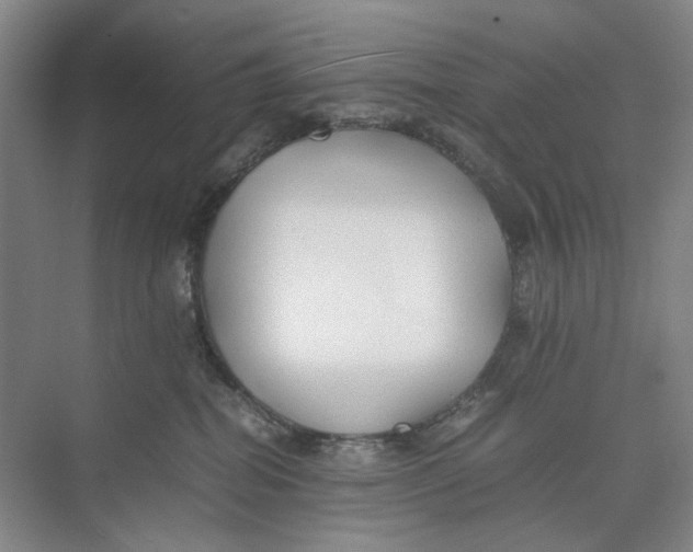 X0000074330282200609230100