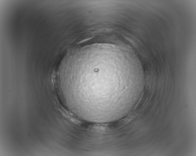 X0000074330284200609230100