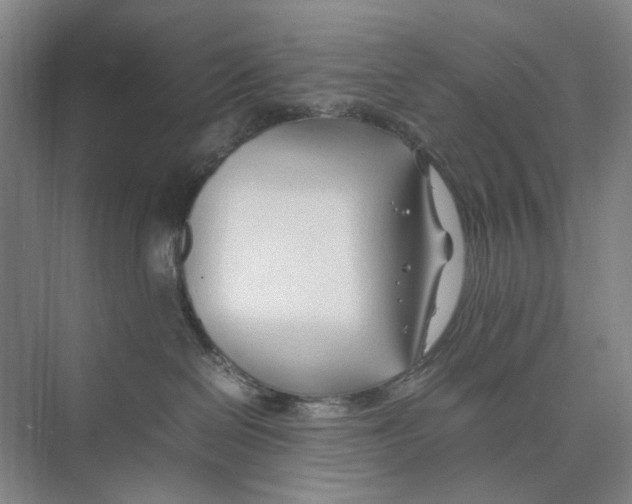 X0000074330286200609230100