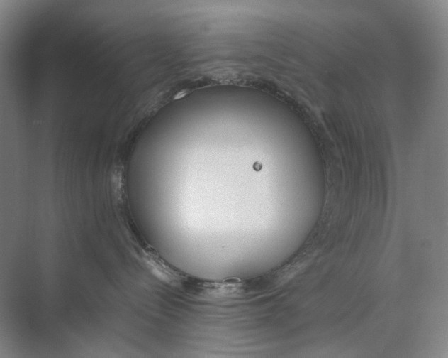 X0000074330288200609230100