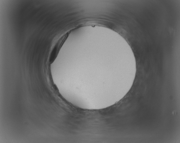 X0000074330289200609230059