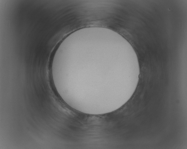 X0000074330290200609230059