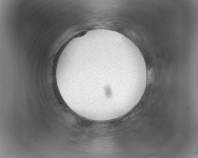 X0000074330291200609230059