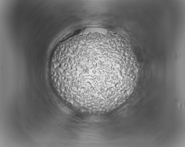 X0000074330293200609230059