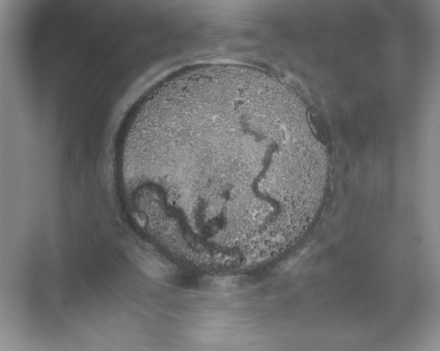 X0000074330295200609230059