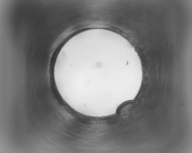 X0000074330296200609230059