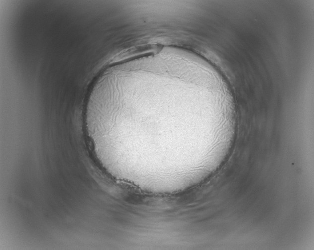 X0000074330297200609230059