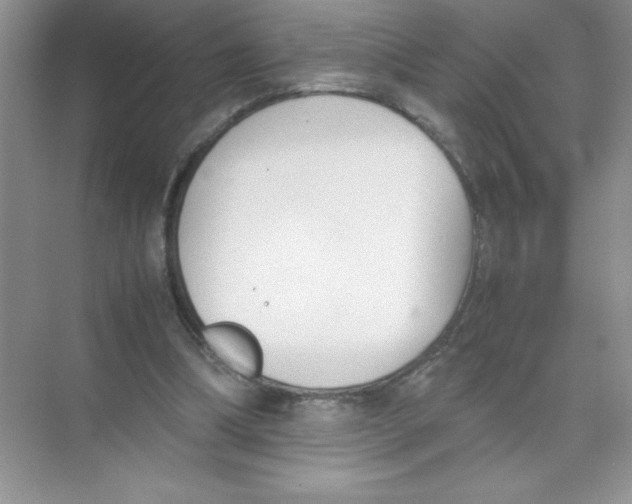 X0000074330298200609230059