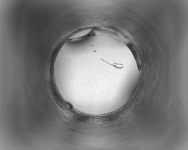 X0000074330299200609230059