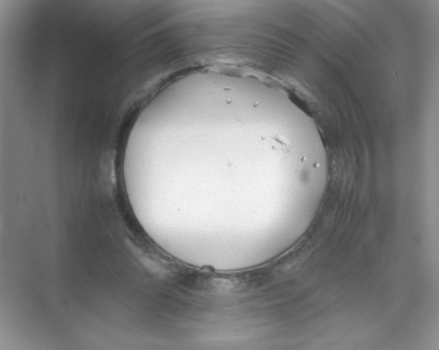 X0000074330302200609230059