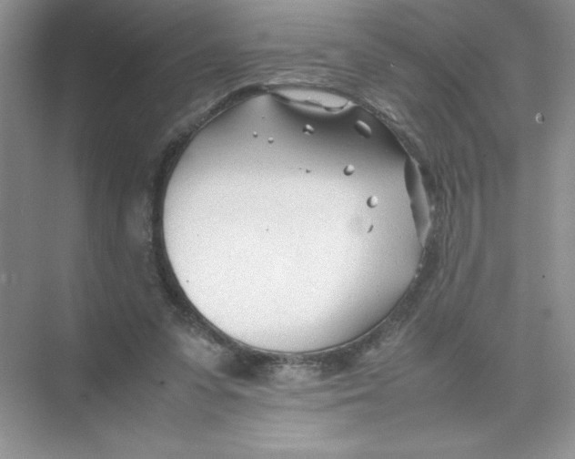 X0000074330303200609230059