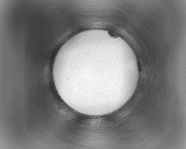 X0000074330306200609230059