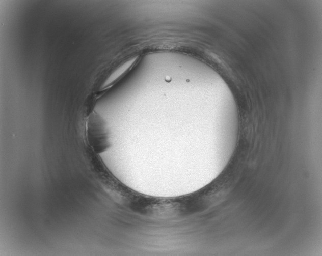 X0000074330307200609230059