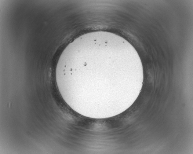 X0000074330308200609230059