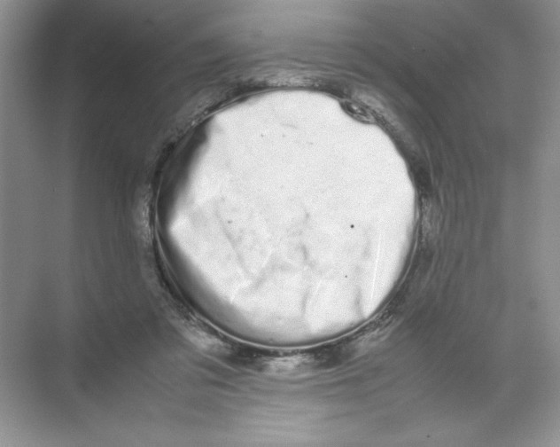 X0000074330309200609230059