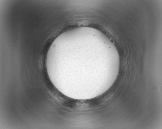 X0000074330311200609230059