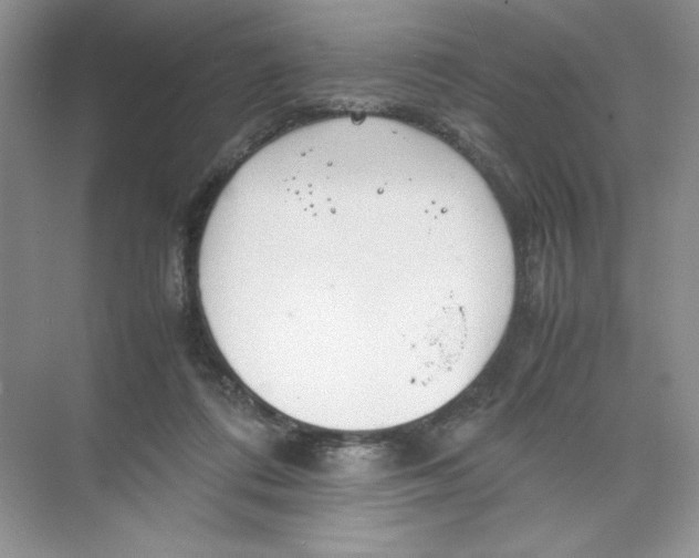 X0000074330312200609230059