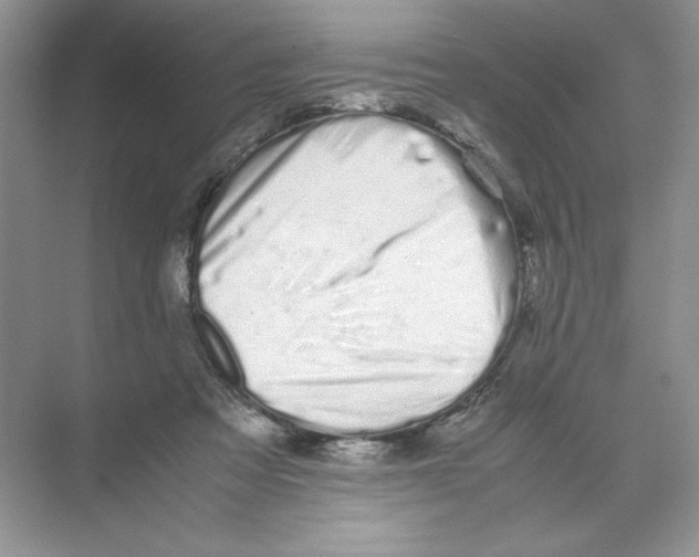 X0000074330313200609230059