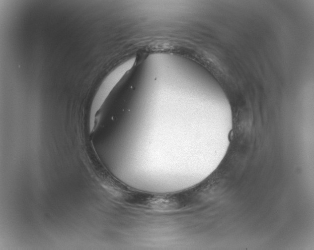 X0000074330315200609230059