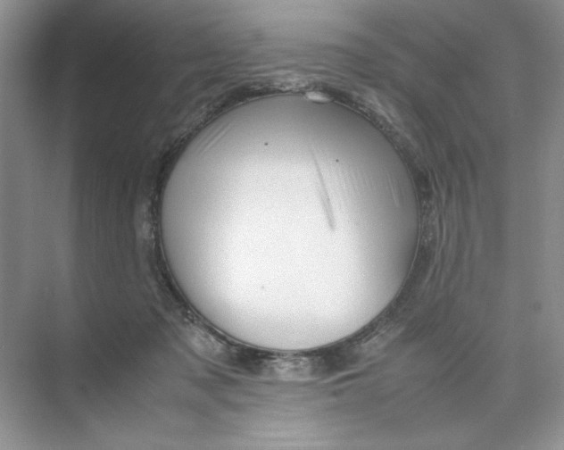 X0000074330317200609230059