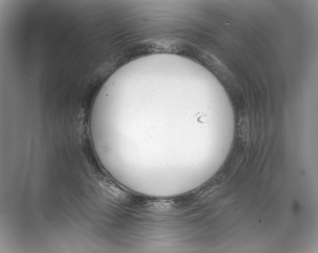 X0000074330318200609230059