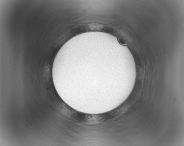 X0000074330321200609230059