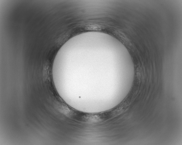 X0000074330322200609230059