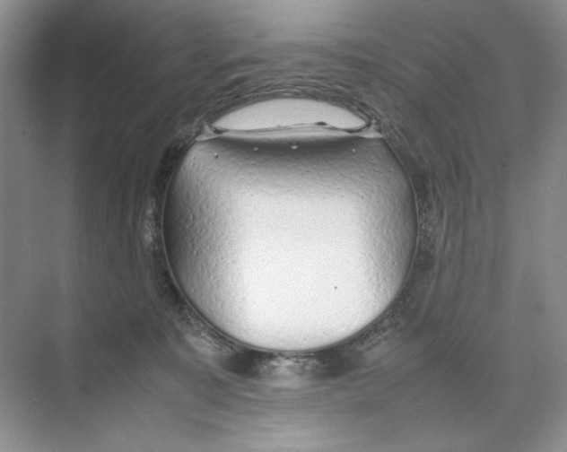 X0000074330323200609230059