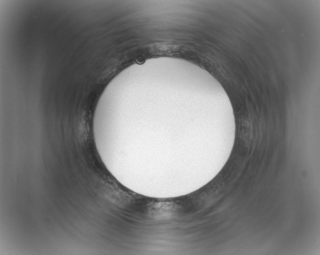 X0000074330324200609230059