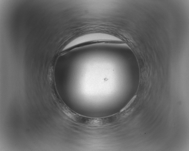 X0000074330325200609230059