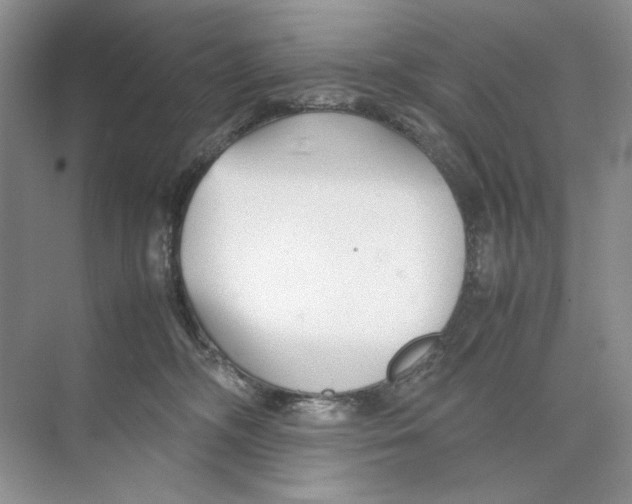 X0000074330326200609230059