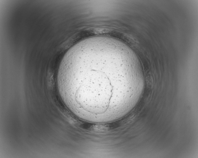 X0000074330327200609230059