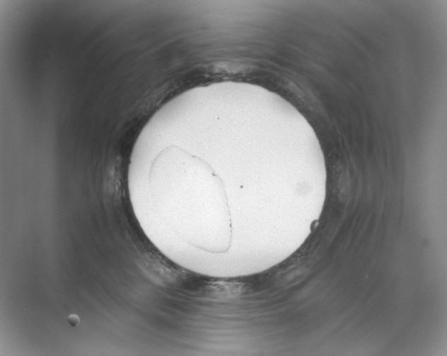 X0000074330328200609230059