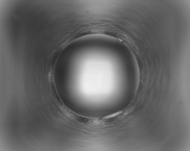 X0000074330329200609230059