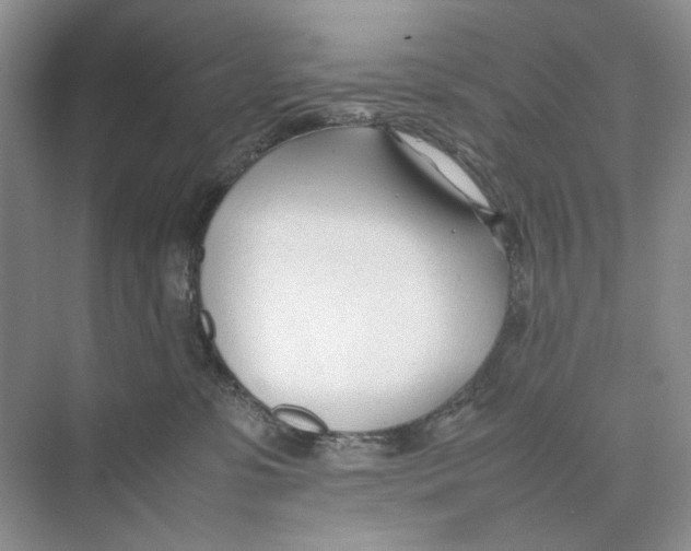 X0000074330331200609230059