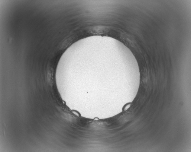 X0000074330332200609230059