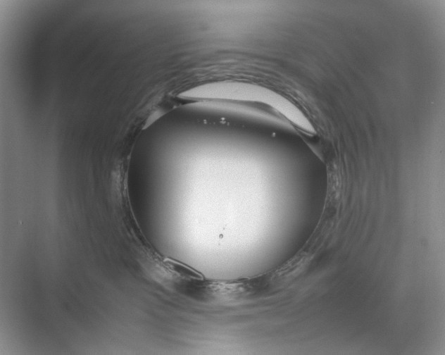 X0000074330333200609230059