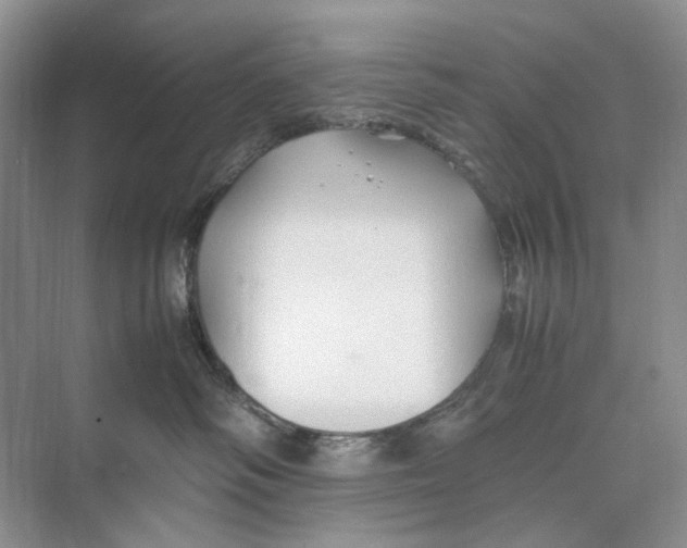 X0000074330334200609230059