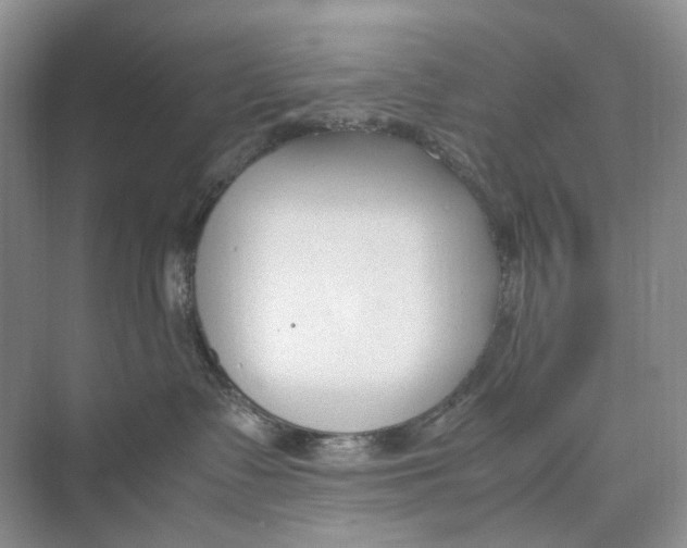 X0000074330335200609230059