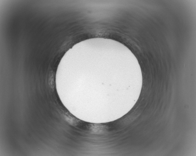 X0000074330336200609230059