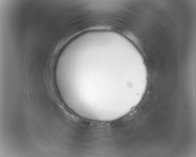 X0000074330337200609230058