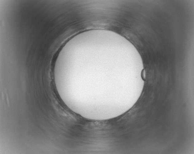 X0000074330338200609230058