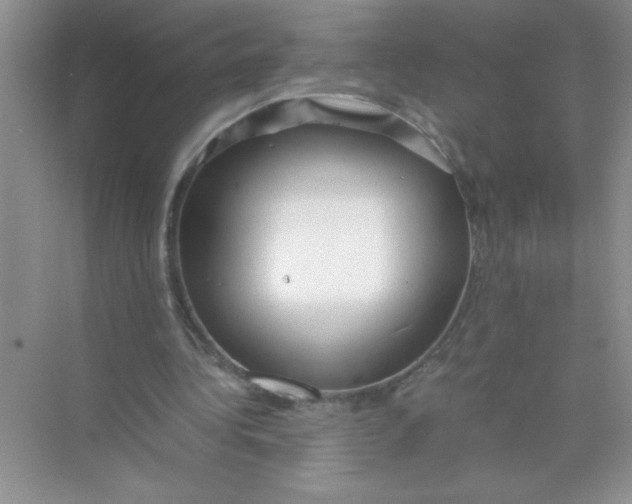 X0000074330340200609230058